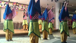 海友会　dａncｅ　tｅａm　楽舞和　ちかよさ2014