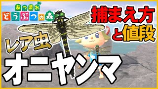 【あつ森】レア虫オニヤンマの出現時間と場所・捕まえ方・値段・解説・飾る【あつまれどうぶつの森AnimalCrossing】釣り方捕まえ方