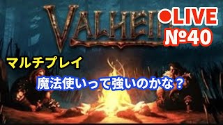 【Valheim/ヴァルへイム】Live40 魔法使いって強いのかな？