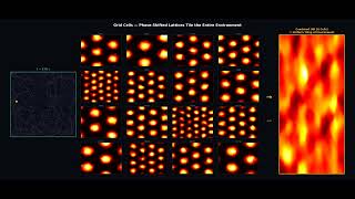 Grid Cell Representations tiling the Environment | A Simulation using Rat in a Box