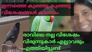 കുഞ്ഞു കുഞ്ഞു വിശേഷം.എന്റെ വിരുന്നുകാർ എല്ലാവരും എത്തി. എല്ലാവരെയും നമുക്കൊന്ന് കാണാം.