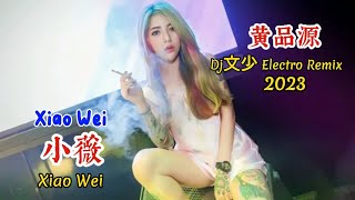 黄品源 - 小薇 - Xiao Wei - (Dj文少 Electro Remix 2023) #dj抖音版2023