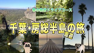 【千葉房総半島】絶景スポットからグルメまで！おすすめ観光コース大公開！