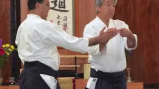 Ikeda Shihan Seminar Preview 2013