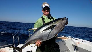 Fishing Monster Yellowfin Tuna Offshore Venice Louisiana