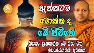 ඇත්තටම මොක්කද මේ ජීවිතේ |Ven Hasalaka Seelawimala thero