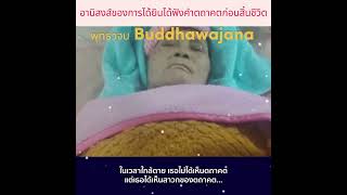 อานิสงส์ของการได้ยินได้ฟังคำตถาคตก่อนสิ้นชีวิต