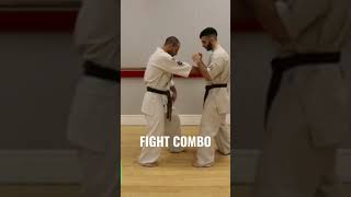 Karate Kyokushin FIGHT COMBO that you MUST learn!