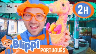 Conhecendo Animais Marinhos com o Blippi | 2 HORAS DO BLIPPI BRASIL | Vídeos Educativos em Português