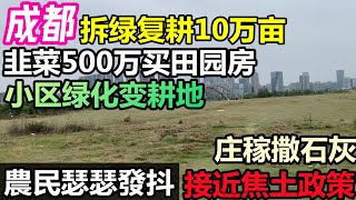 成都市區復耕10萬畝農田，城裡青年就地下鄉，韭菜500萬田園房，小區內種植糧食|退林還耕一發不可收拾，好好的莊稼被挖平|村民人心惶惶，農村最後一片淨土淪陷|#退林還耕#農管