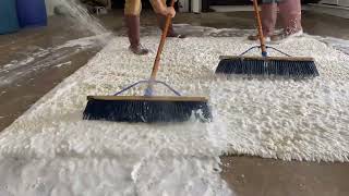 Safavieh Shag Rug Cleaning | Pet Urine Stains All Over | Rug Master Dallas | Behnam Rugs