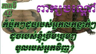 LYLY PEKBONDOA.. Khmer riddle. កំប៉ុកៗដូចរបស់អ្នកលកន្លាក់ៗដូចរបស់ខ្ញុំច្រិមច្រុមៗចូលរបស់អ្នកវិញ?