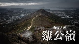 山火之後：傷痕累累的雞公嶺｜Post-Wildfire: Kai Kung Leng