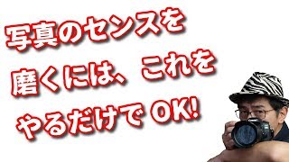 【初心者向け】写真のセンスを磨くには、これをやるだけでOK！【縦動画】