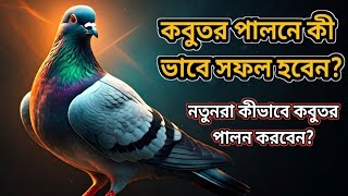 কবুতর পালনের কিছু গুরুত্বপূর্ন টিপস || নতুনরা কিভাবে কবুতর পালন শুরু করবেন?RM Pigeon Lover.