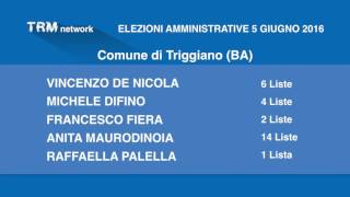 Amministrative 2016 in Puglia, i comuni al voto