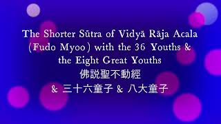 The Shorter Sūtra to Vidyā Rāja Acala, The 36 Youths \u0026 The Eight Great Youths 佛説聖不動經 \u0026 三十六童子 \u0026 八大童子