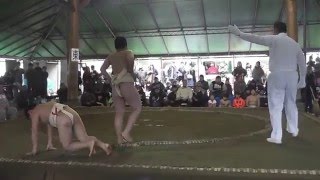 ２０１６年　３月１３日　柏相撲交流大会　小学４年生の部　府中住吉相撲道場