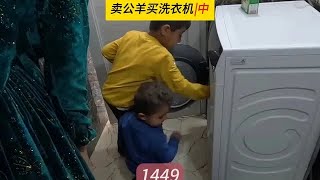 购买洗衣机，卖掉公羊，米娜纪录片1449集（中）