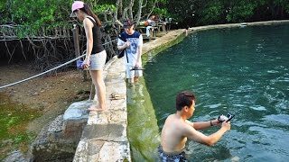 【巴拉望科隆 最美最原始溫泉】馬昆特溫泉Maquinit Hot Spring 電眼帥偉