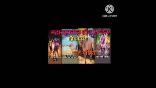 महाराष्ट्रातील टॉप 20 बैल हिंदकेसरी👑🔥✌️#नाद #bailgadasharyat #बैलगाडा #नाद_आमचा_बैलगाडा_शर्यत #short