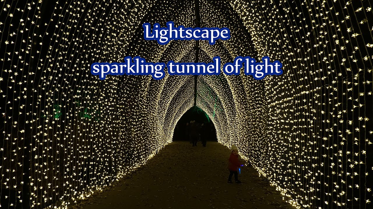 Chicago Botanic Garden Lightscape, Sparkling Tunnel Of Light - YouTube