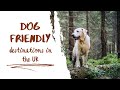 Top 10 Dog Friendly Destinations in the UK