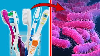 WHERE you store your Toothbrush is MORE IMPORTANT than you think 💥 (WATCH OUT) 🤯