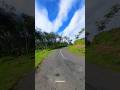 Bikin Takjub!! View Indah Jalan Pekalongan #viral #asmr #shorts