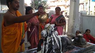 Pradosh Pooja - Nandi Abhishekam