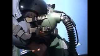 JSDF-2010-空