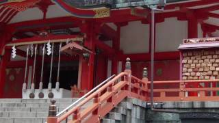 Hanazono Shrine | 花園神社 Pt 1