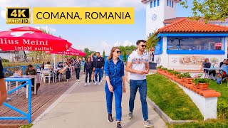 The Best Way to Discover the Best Places in Romania: Comana Park Walk Tour!