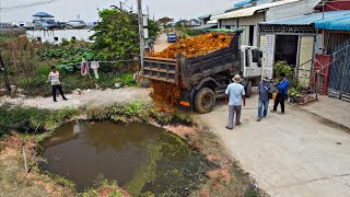 First Starting A New Project!! Filling Land By Bulldozer Komat'Su D20P Push soil With 5ton Trucks