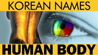 Korean Names of Human Body Parts_The Best Way to Learn Korean_Moving Voca 002