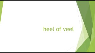 heel of veel  NT2 - A1 - A2 - B1 #learndutch #nt2 #leernederlands