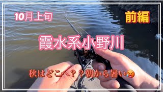 10月上旬霞水系小野川へ！！！