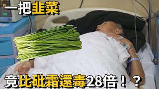 吃韭菜就是在吃毒？食品專家最新研究結果終於發佈，看完嚇了一大跳丨養之道