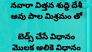 నవారా దేశీ వరి మొలక దశలో విత్తన శుద్ధి మరియు బెడ్స్ చేసుకునే విధానం