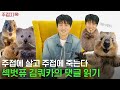 [ENG SUB] 