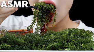 ASMR Sea Grapes Eating Sounds | Satisfying Crunch \u0026 Big Bites | 바다포도 먹방 | MINEE EATS