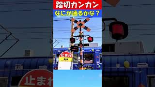 【踏切カンカン】なにが通るかな？ カンカンふみきり　No.3  #shorts #踏切  #電車  #keretaapi  #鉄道