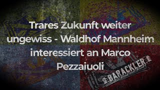Trares zukunft ungewiss - Waldhof Mannheim interessiert an Marco Pezzaiouli