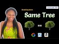 Same Tree - Leetcode 100 - JavaScript