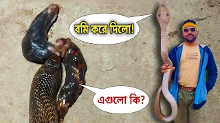 খেয়ে ফেলার পরেও সাপ পেট থেকে শিকার উগলে কেনো দেয়? Snake Vomit Reason #snakevideo