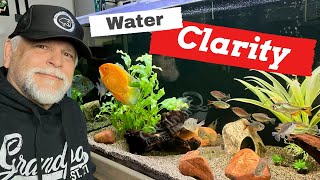 The Water - Feeding - Filtration and Water Changes Connection to *CLARITY!* - LIVE!