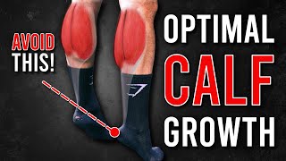 What are the BEST CALF Exercises? (Science Explained)