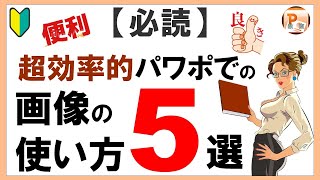 パワーポイント使い方！【必読】超効率的パワポでの画像の使い方５選［東京PowerPoint教室］  #PowerPoint #パワーポイント #パワーポイント基本　#パワポ