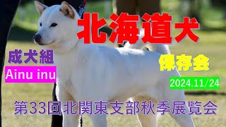 天然記念物北海道犬保存会第33回北関東支部秋季展覧会（成犬組）【Samurai dog TV】