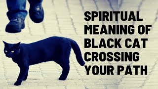 |Spiritual Meaning Of Black Cat Crossing Your Path|, "Black Cat Spiritual Meaning"